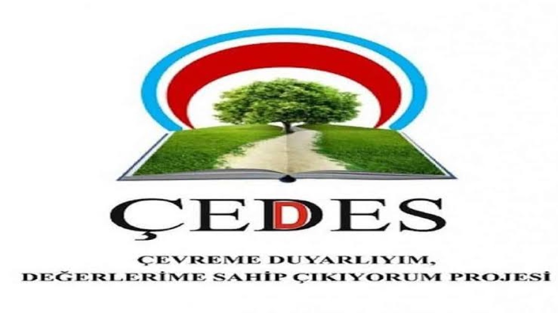 ÇEDES PROJESİ SUNUMU